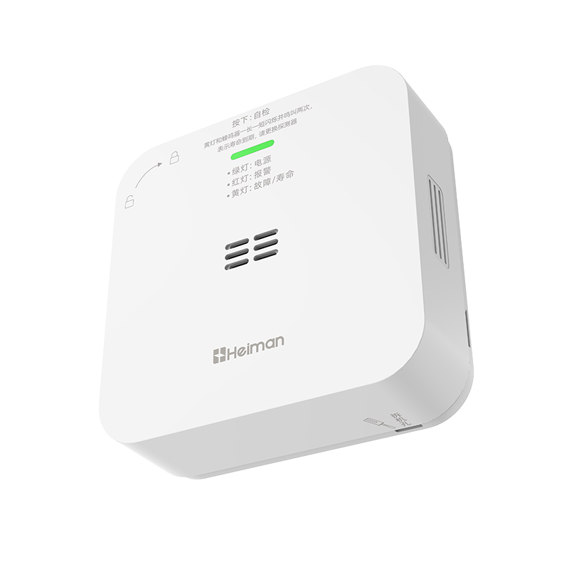 图片2.海曼4G版一氧化碳报警器JM-720ES-G