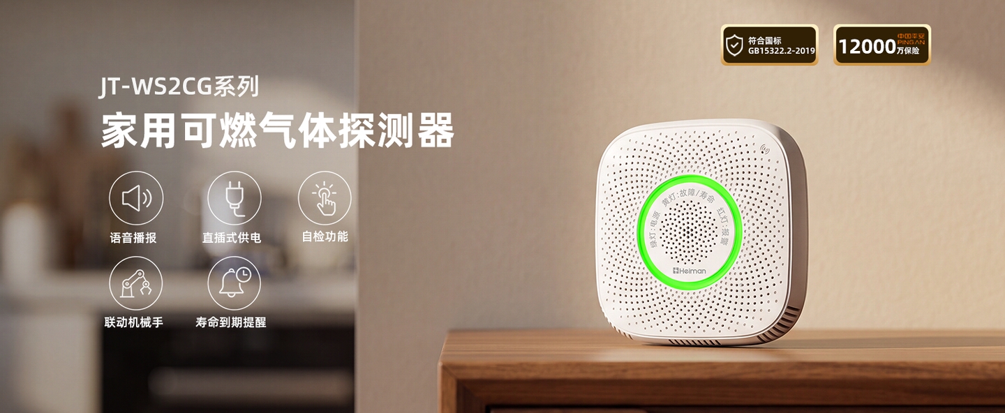 可燃气体报警器 JT-WS2CG系列